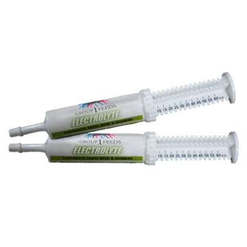 group1feeds_electrolyte-paste-700×525 – Copy group1feeds_electrolyte-paste-700x525 - Copy
