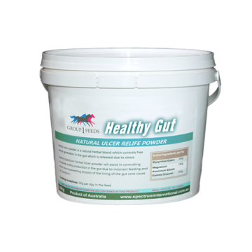 group1feeds_healthy-gut-powder-700x525